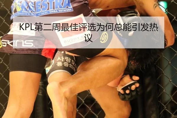KPL第二周最佳评选为何总能引发热议