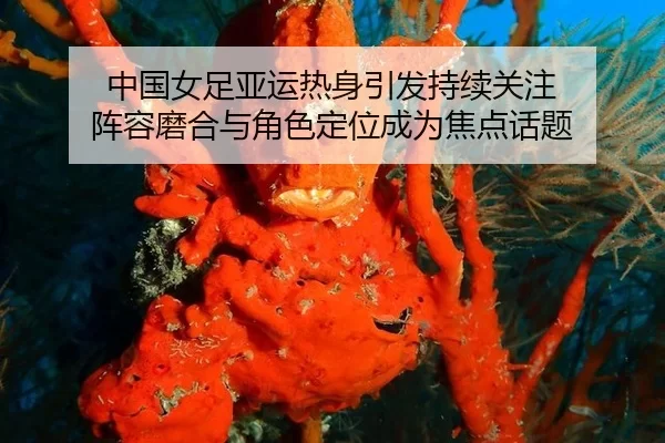 中国女足亚运热身引发持续关注 阵容磨合与角色定位成为焦点话题